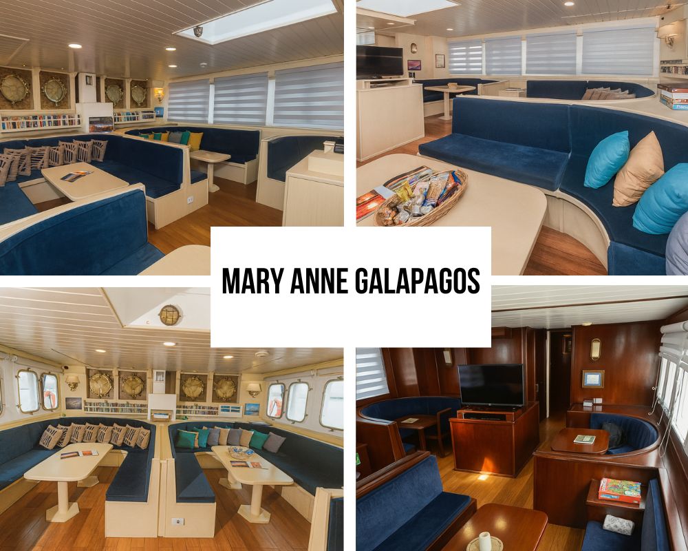 Mary Anne Galapagos Cruise premium accommodations