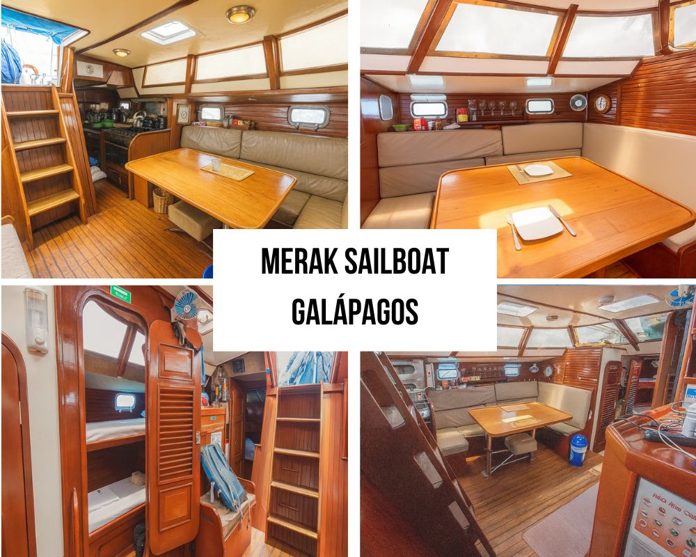 Budget-Friendly Accommodation Configuration on the Merak Galapagos Cruise