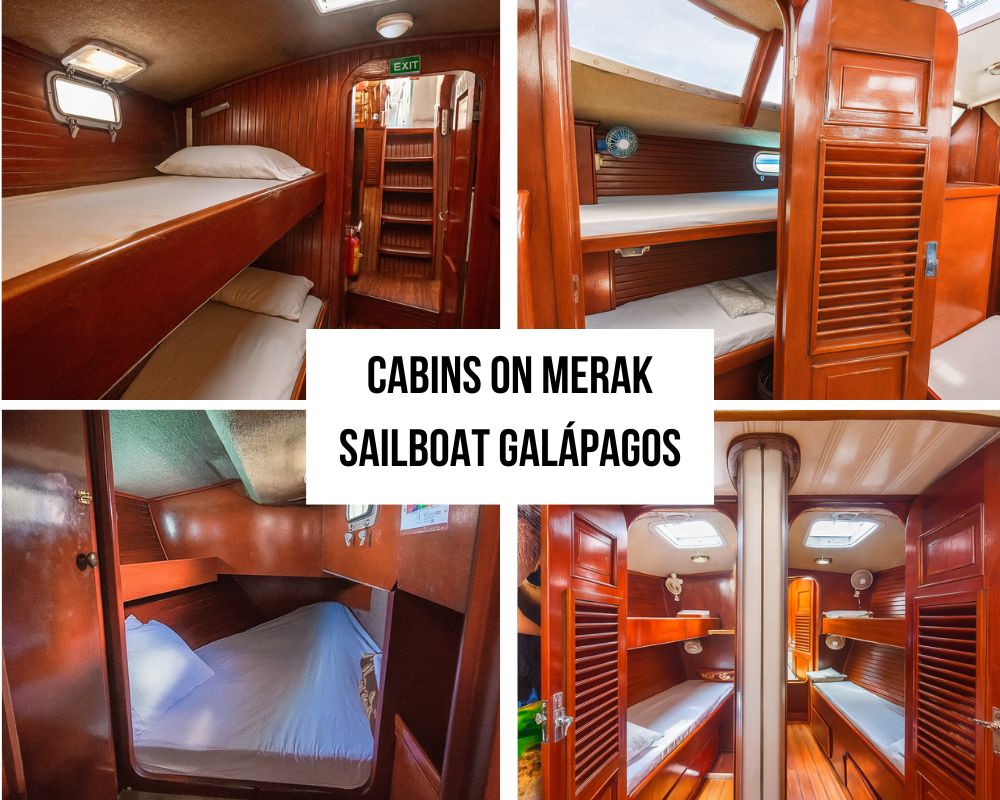 Basic but Complete Service Package on the Merak Galapagos Cruise