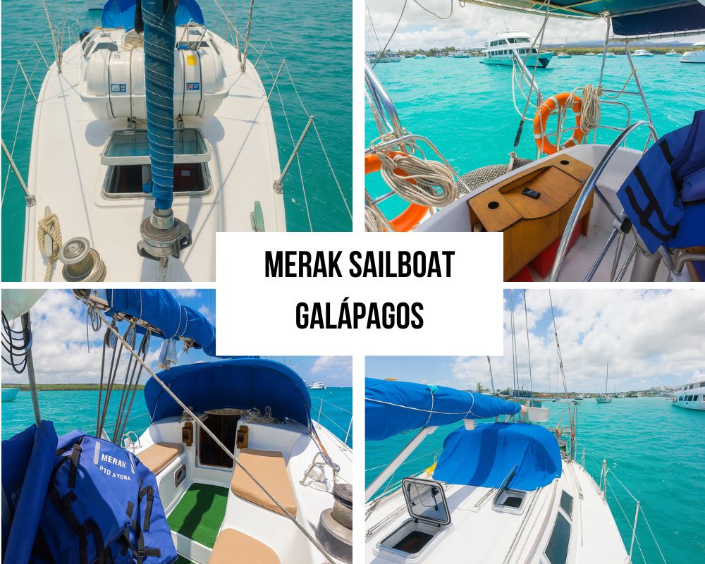 Perfect Match for the Merak Galapagos Cruise