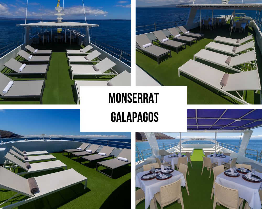 Monserrat Galapagos Cruise
