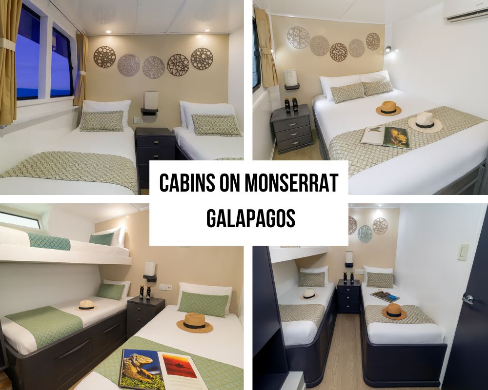 Flexible Accommodation and Solo Traveler Excellence on the Monserrat Galapagos Cruise
