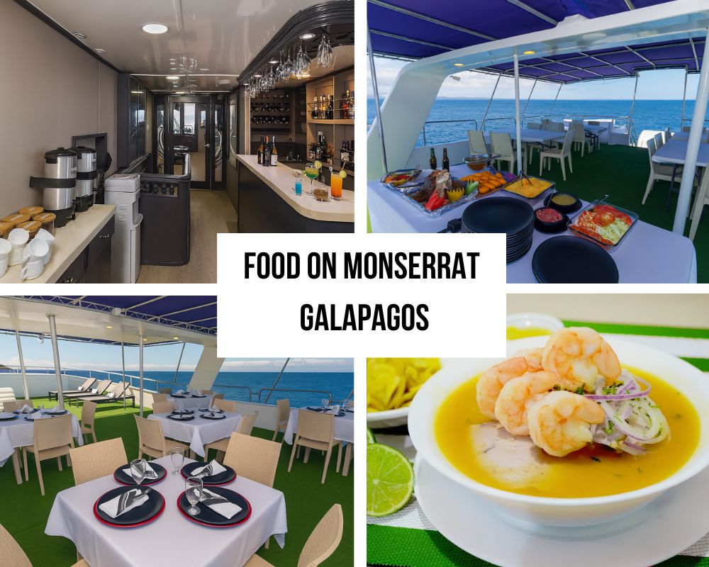 Exceptional Social Spaces and Communal Excellence on the Monserrat Galapagos Cruise