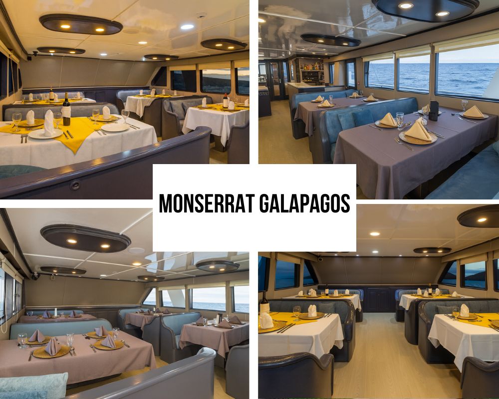 Monserrat Galapagos Cruise