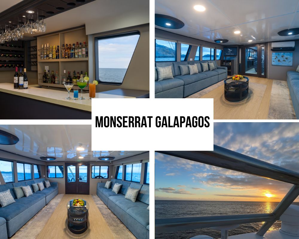 Outstanding Educational Excellence and Naturalist Expertise on the Monserrat Galapagos Cruise