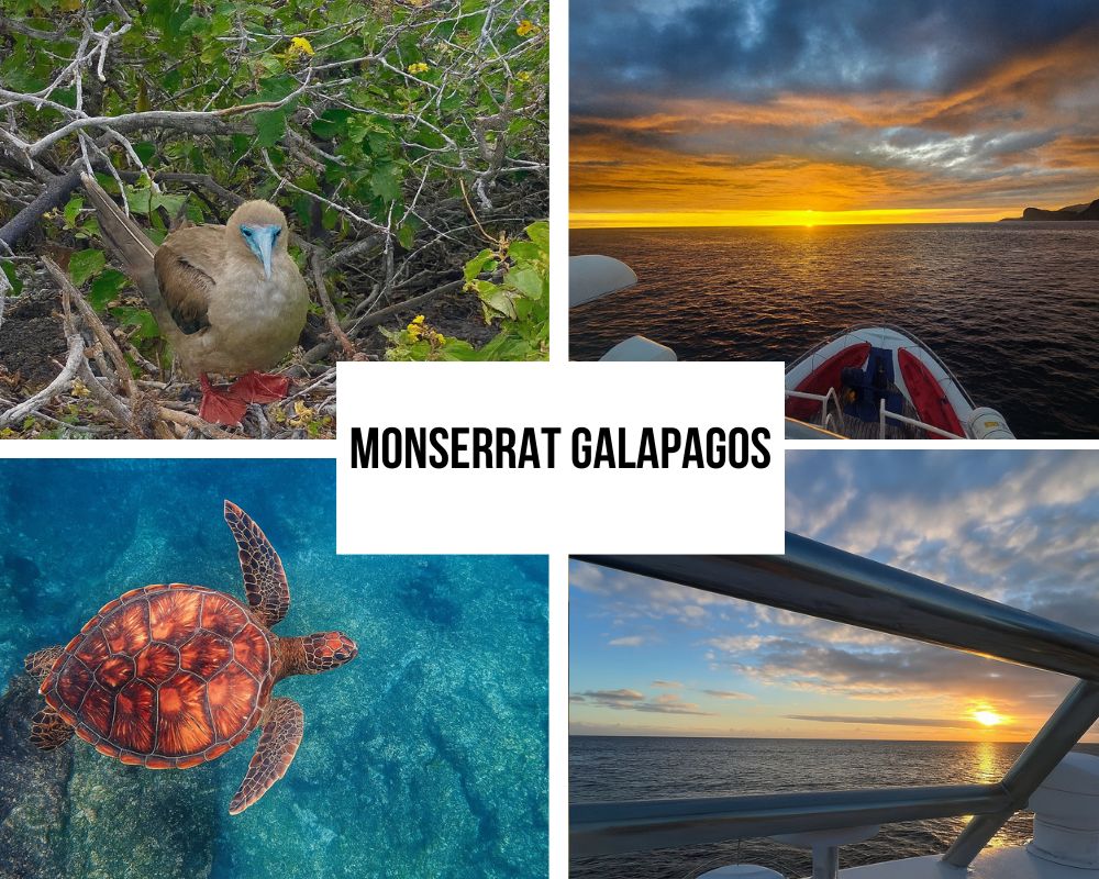 Comprehensive Itinerary Portfolio on the Monserrat Galapagos Cruise