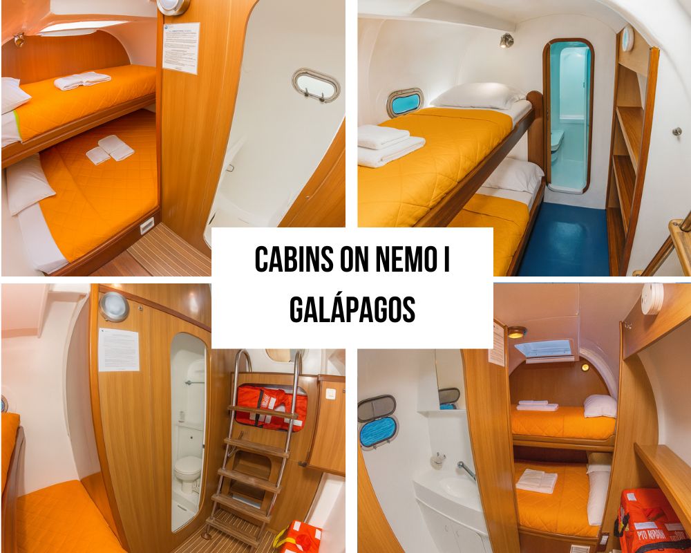 Comprehensive Accommodation Options on the Nemo I Galapagos Cruise