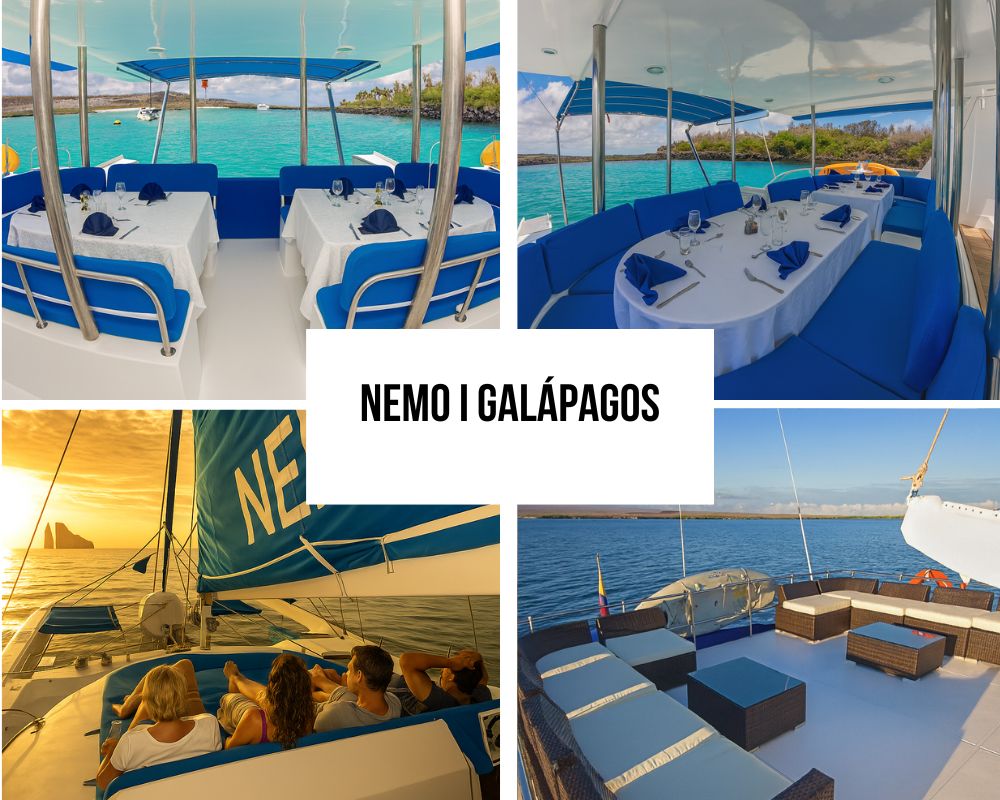 Nemo I Galapagos Cruise