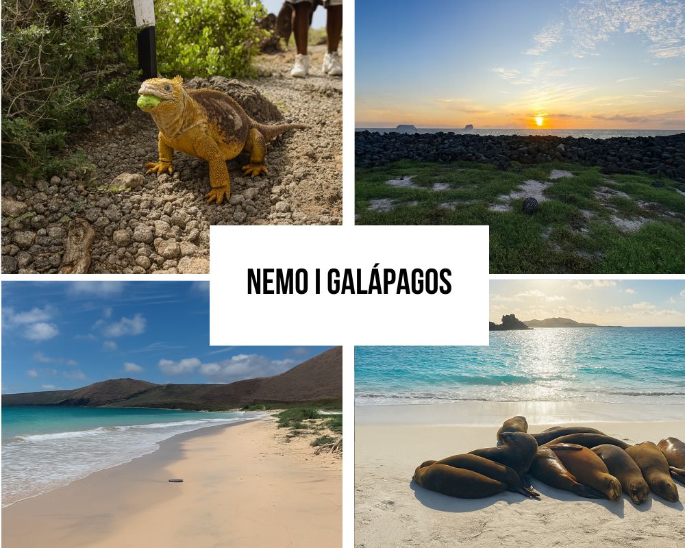 Diverse Itinerary Portfolio on the Nemo I Galapagos Cruise