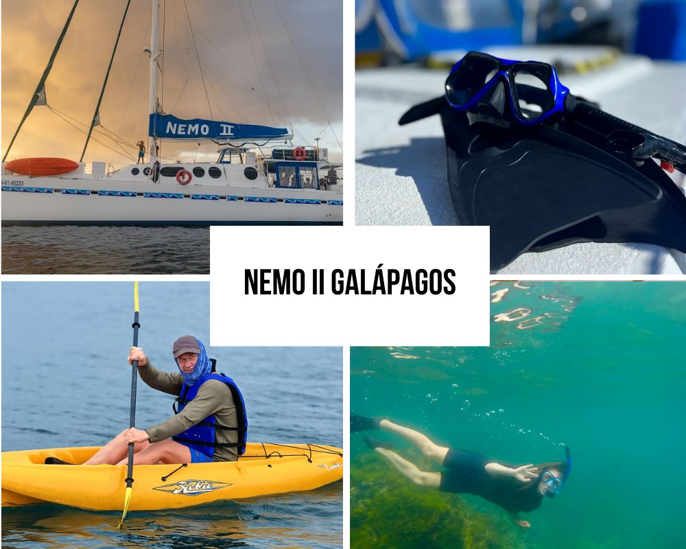 Comprehensive Itinerary Portfolio on the Nemo II Galapagos Cruise