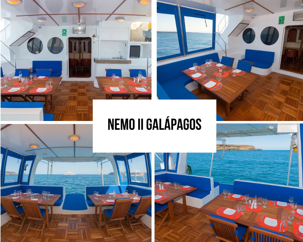 Active Adventure Package on the Nemo II Galapagos Cruise