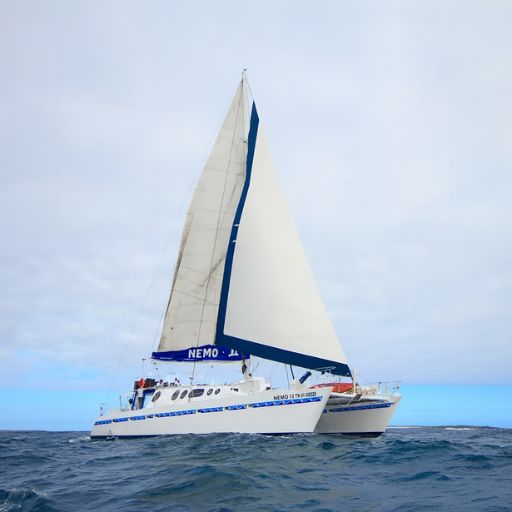 The Nemo II a true sailing catamaran