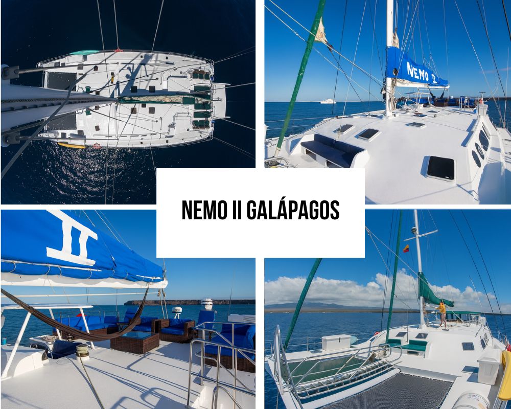 Nemo II Galapagos Cruise