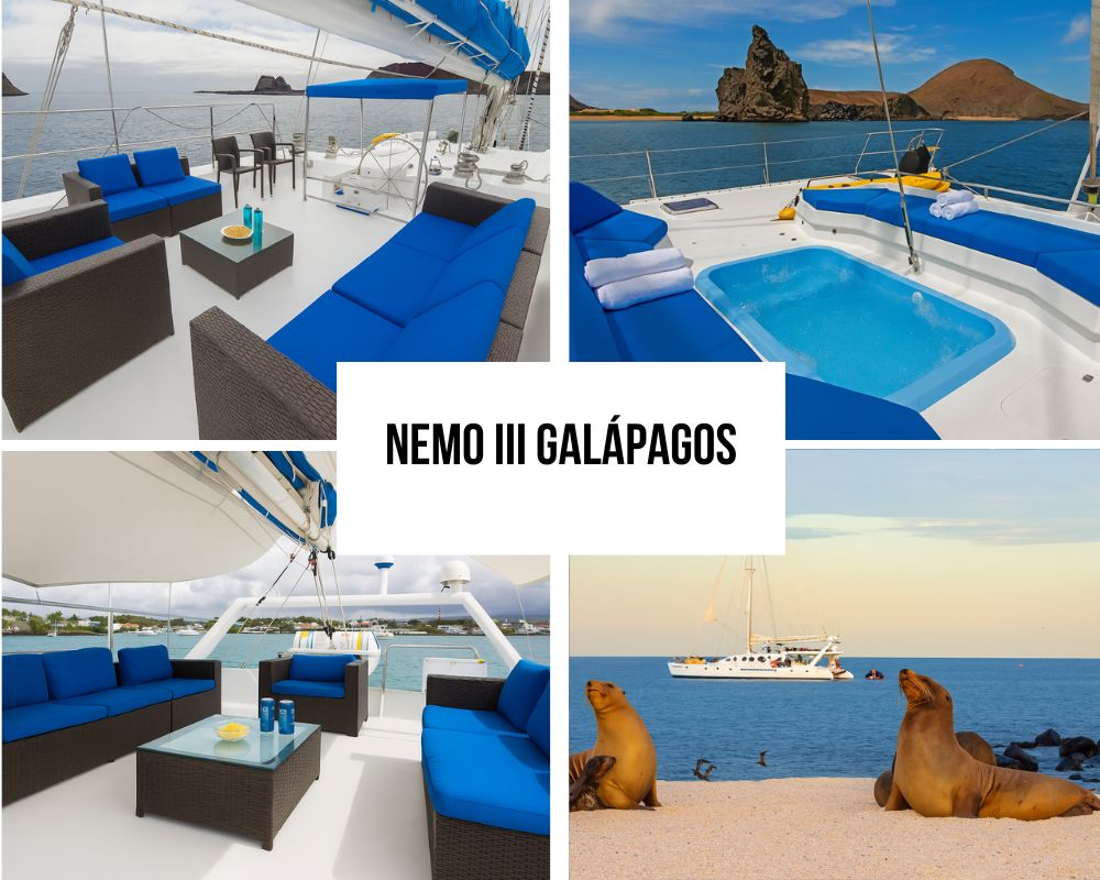 Premium All-Inclusive Package on the Nemo III Galapagos Cruise