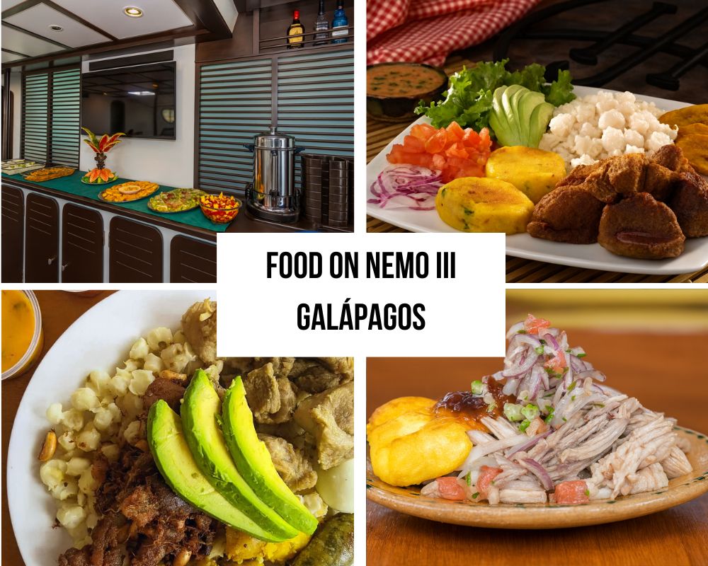 Delightful Al Fresco Dining Excellence on the Nemo III Galapagos Cruise