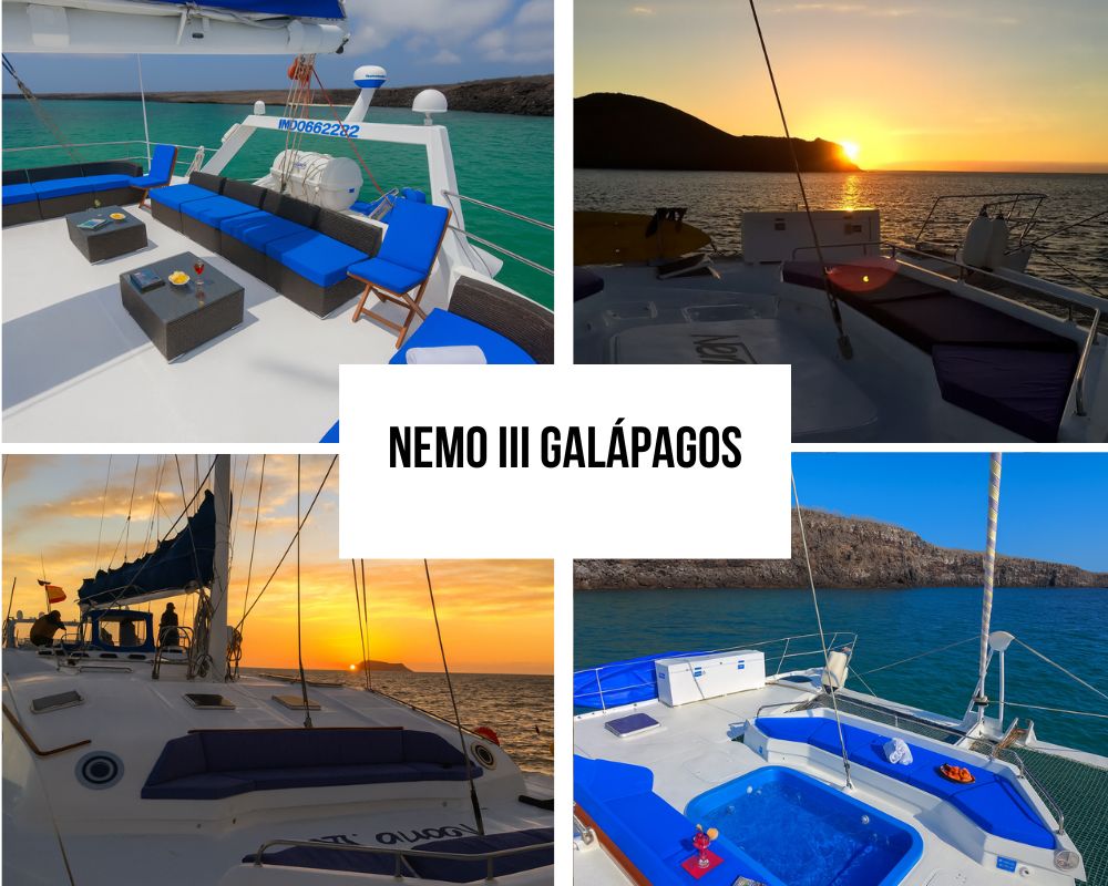 Comprehensive Itinerary Portfolio on the Nemo III Galapagos Cruise