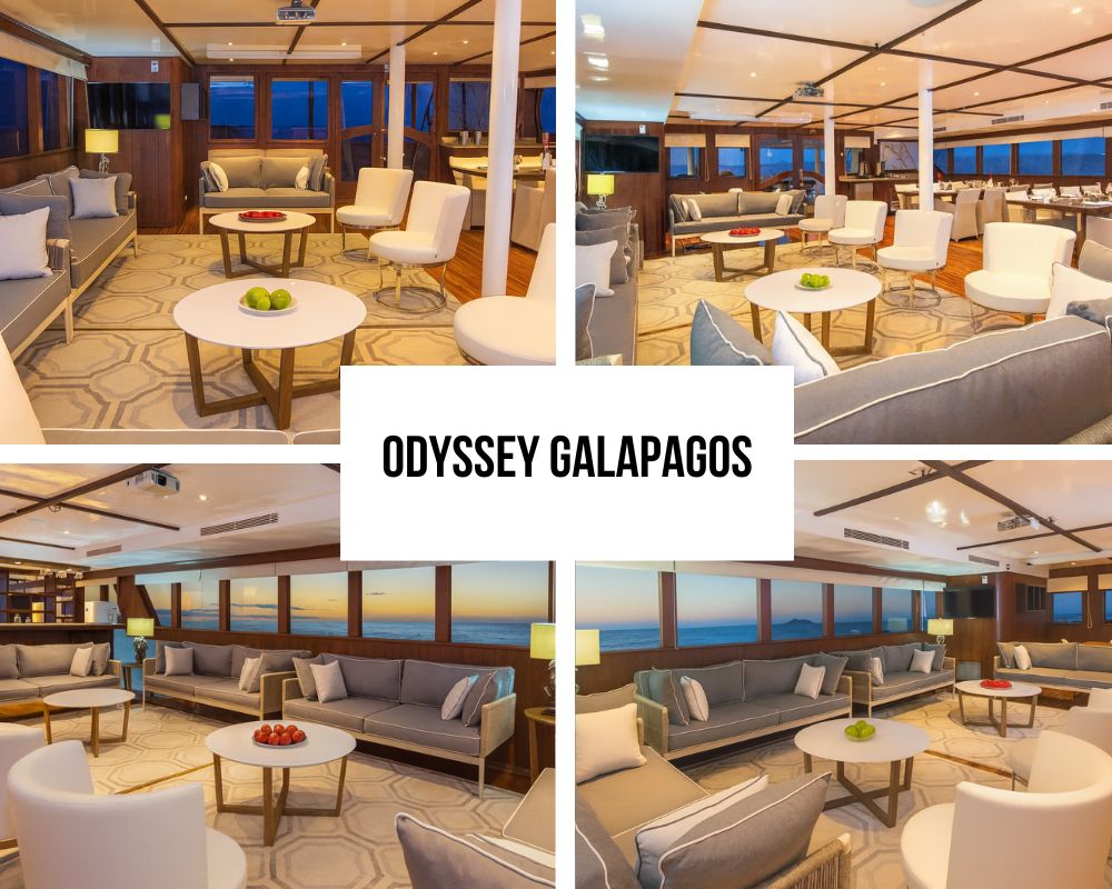 Outstanding Guest Experience and Traditional Recognition on the Galapagos Odyssey Cruise