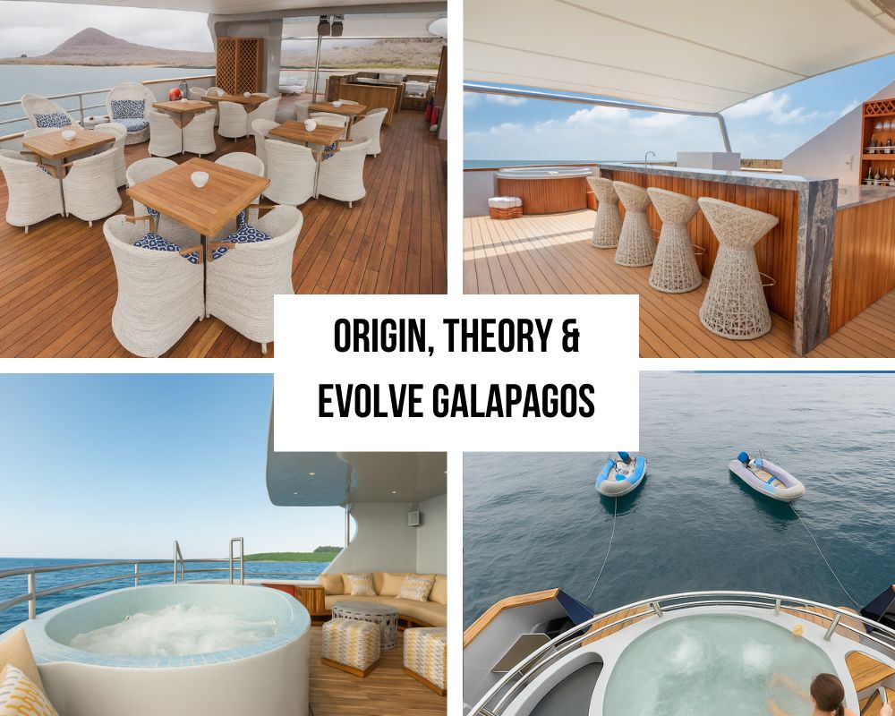 Outstanding Guide Excellence and Small Group Dynamics on Origin, Theory & Evolve Galapagos Cruises