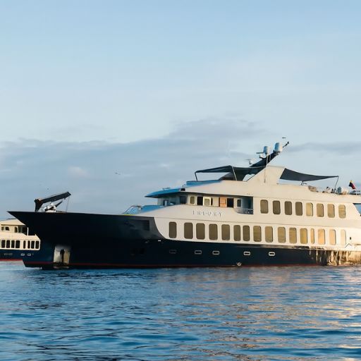 The Origin, Theory & Evolve fleet consists of three identical luxury ships (built 2016-2019) accommodating just 20 guests with experienced crews including captain