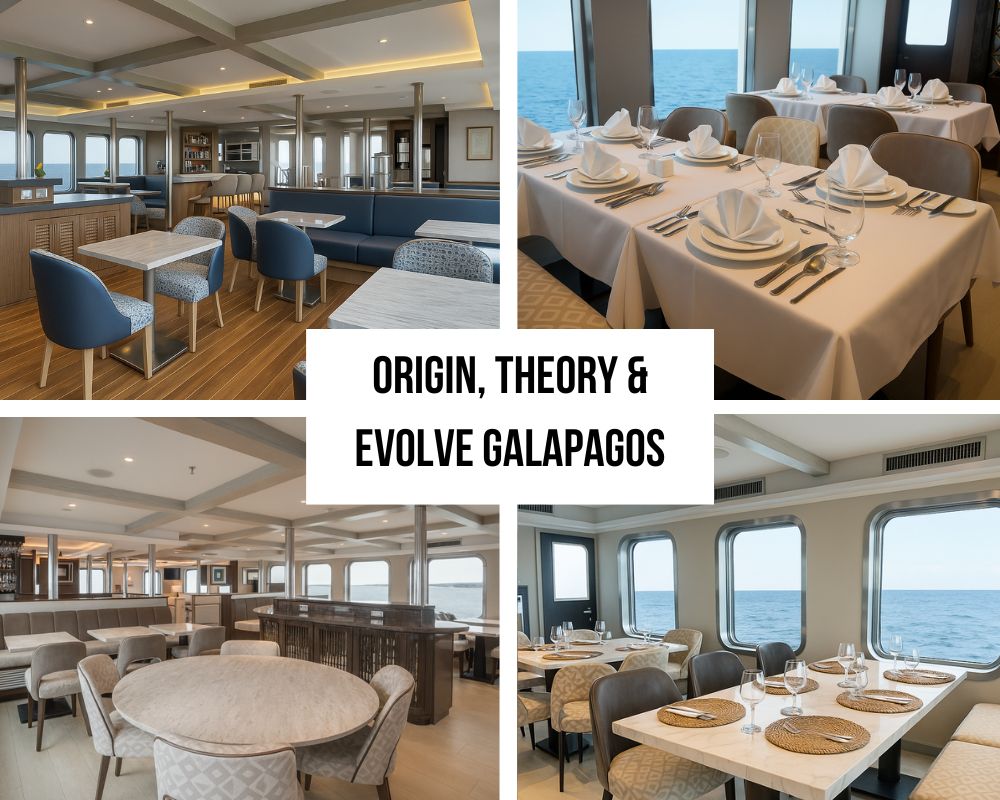 Outstanding Guest Experience and Luxury Environmental Recognition on Origin, Theory & Evolve Galapagos Cruises