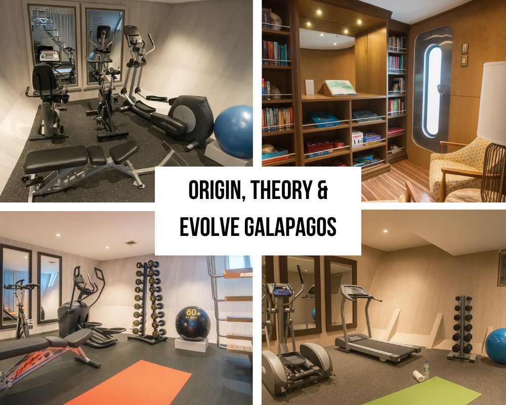 Comprehensive Premium Equipment and Glass-Bottom Zodiac Excellence on Origin, Theory & Evolve Galapagos Cruises