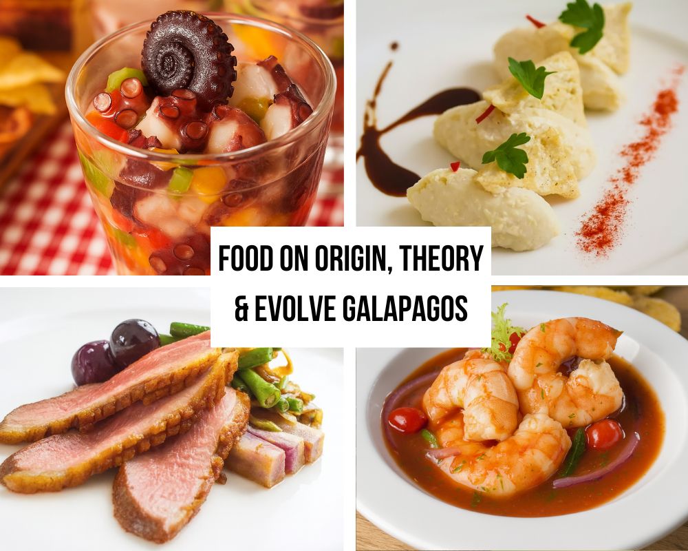 Relais & Châteaux Culinary Excellence and Creative Menu Innovation on Origin, Theory & Evolve Galapagos Cruises