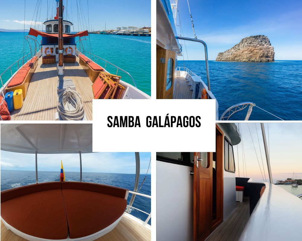 Samba Galapagos Cruise