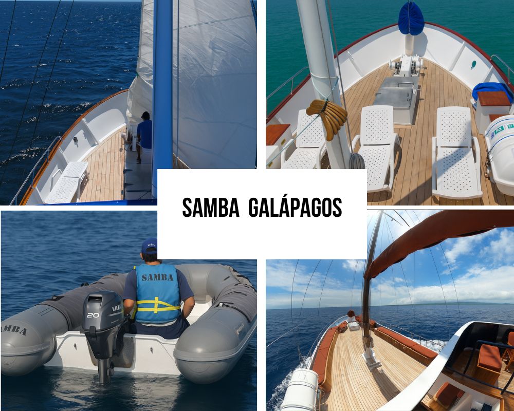 Comprehensive Environmental Package on the Samba Galapagos Cruise