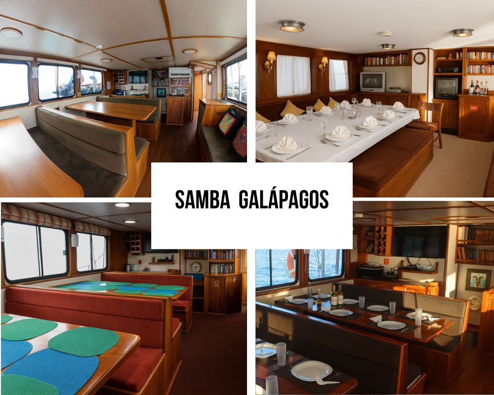 Environmental Leadership and Sustainability on the Samba Galapagos Cruise