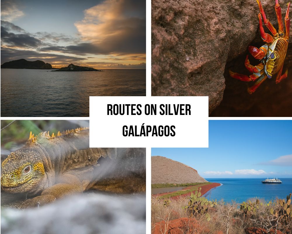 Comprehensive Itinerary Excellence on the Silver Galapagos Cruise