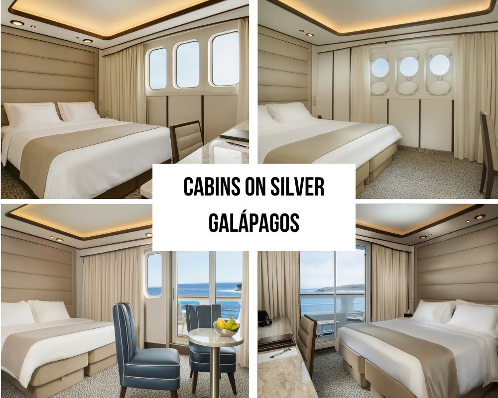 Premium All-Inclusive Luxury Package on the Silver Galapagos Cruise