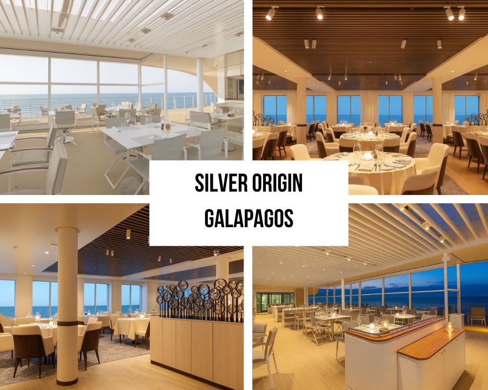 Revolutionary Expedition Excellence and Wildlife Access on the Silver Origin Galapagos Cruise