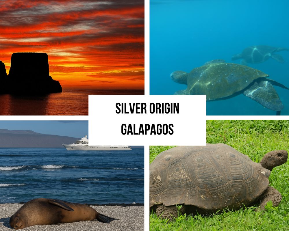 Comprehensive Itinerary Portfolio on the Silver Origin Galapagos Cruise
