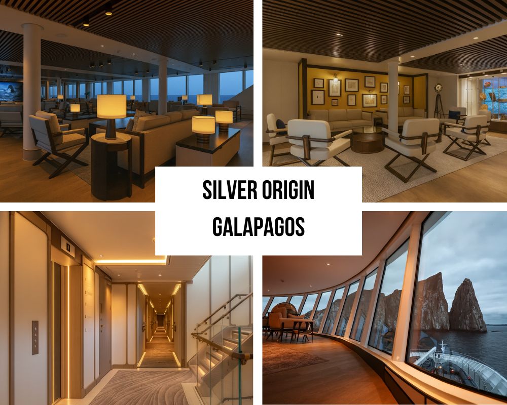  Ultra-Luxury Recognition on the Silver Origin Galapagos Cruise