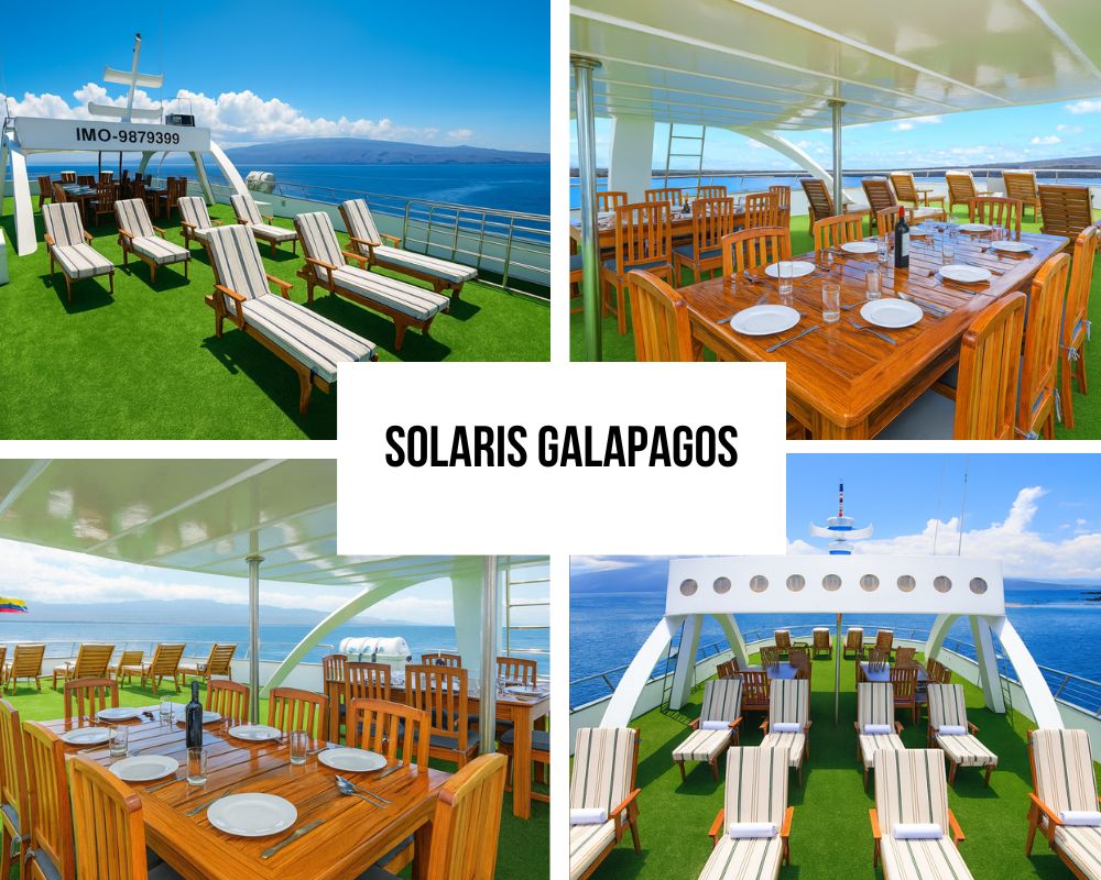 Outstanding Social Spaces and Modern Amenities on the Solaris Galapagos Cruise