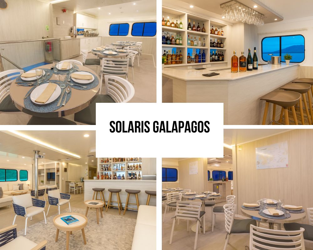Exceptional Crew Service and Owner Excellence on the Solaris Galapagos Cruise