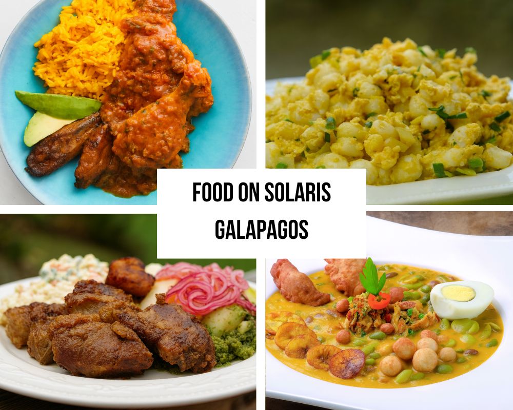 Outstanding Culinary Excellence and Professional Chef Service on the Solaris Galapagos Cruise