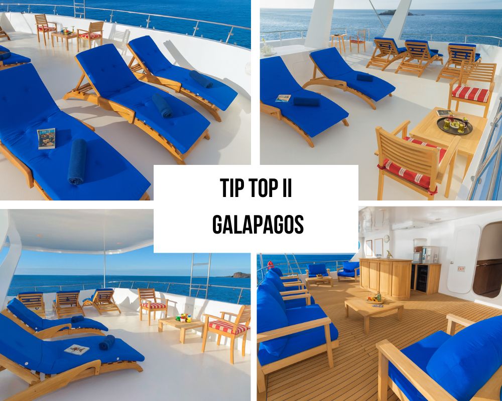 Tip Top II Galapagos Cruise