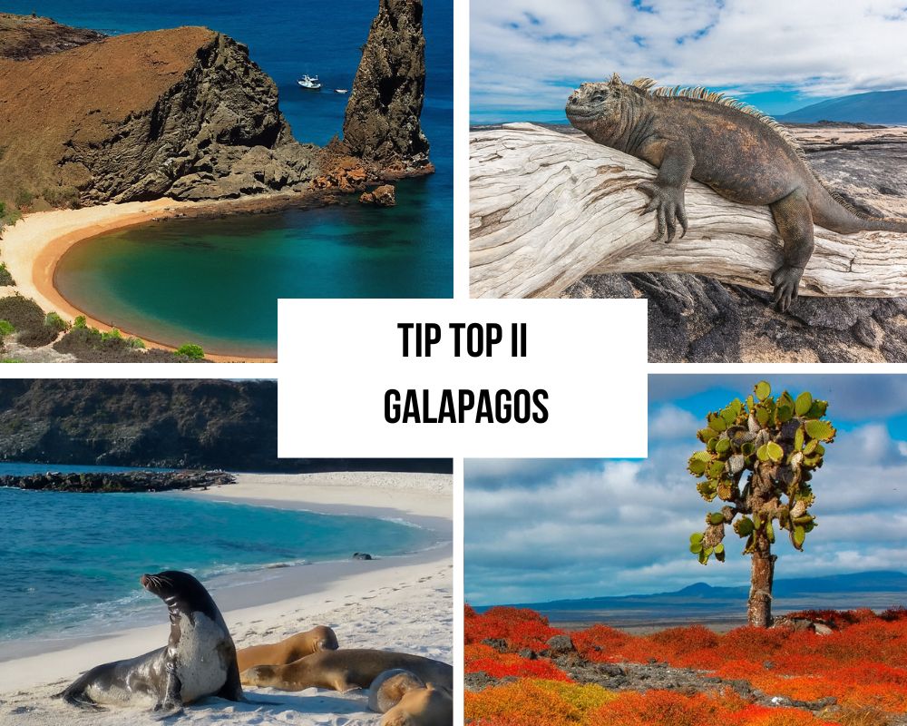 the Tip Top II Galapagos Cruise