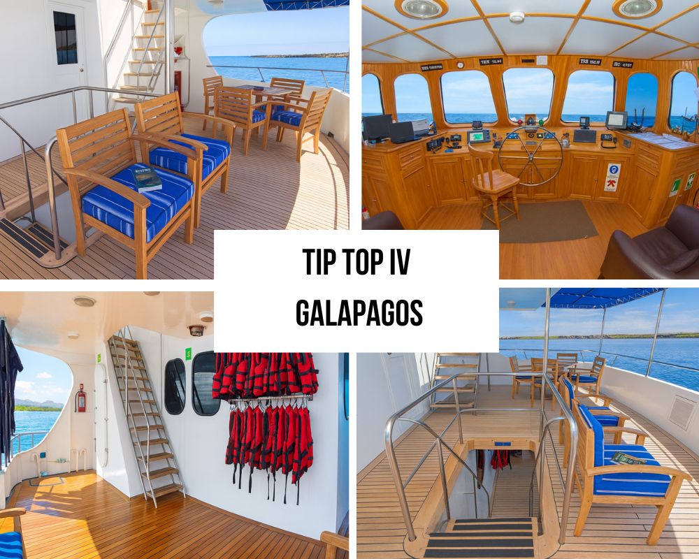 Tip Top IV Galapagos Cruise