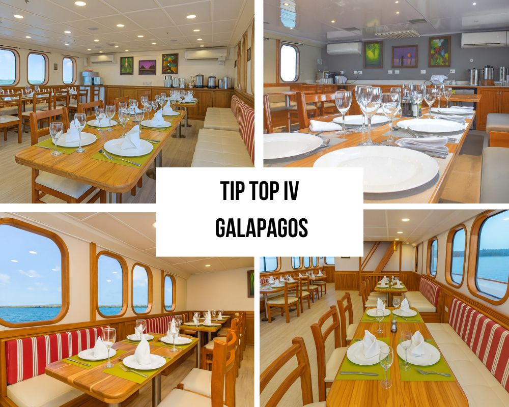 Outstanding Equipment and Adventure Excellence on the Tip Top IV Galapagos Cruise