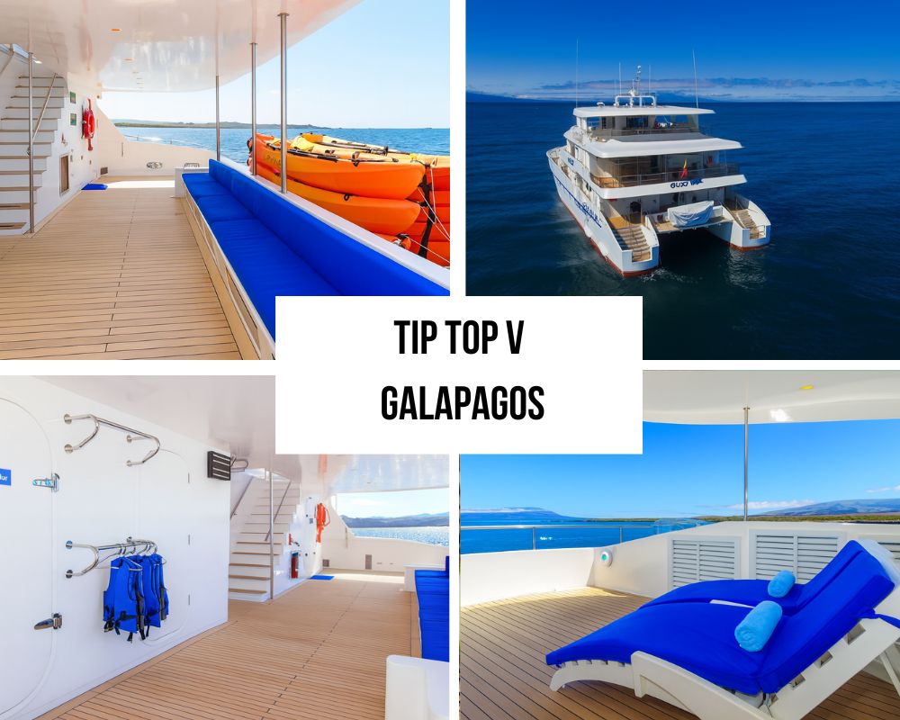 Tip Top V Galapagos Cruise