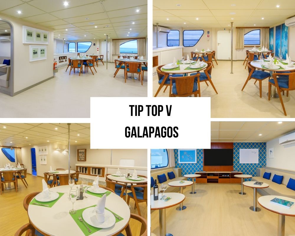 Exceptional Crew Excellence and Family Heritage Service on the Tip Top V Galapagos Cruise