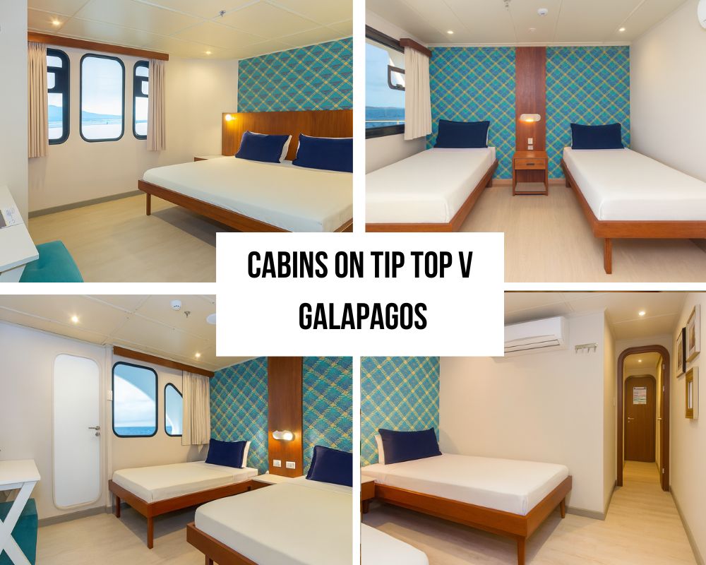 Comprehensive Social Areas and Modern Design on the Tip Top V Galapagos Cruise