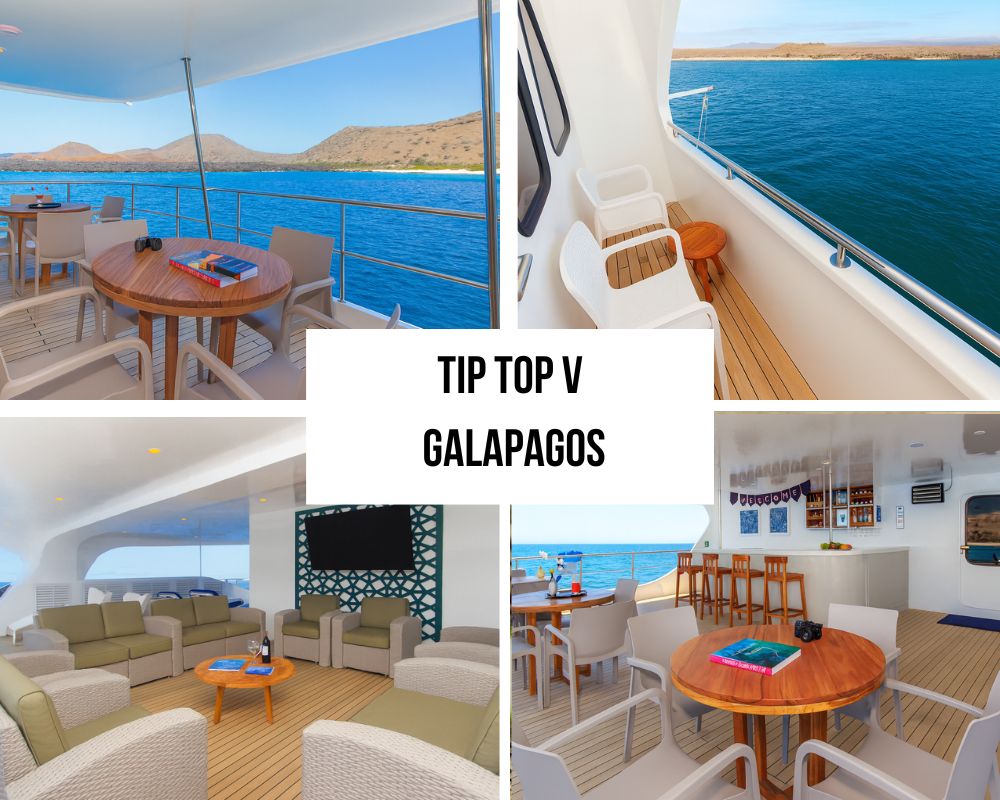 Tip Top V Galapagos Cruise