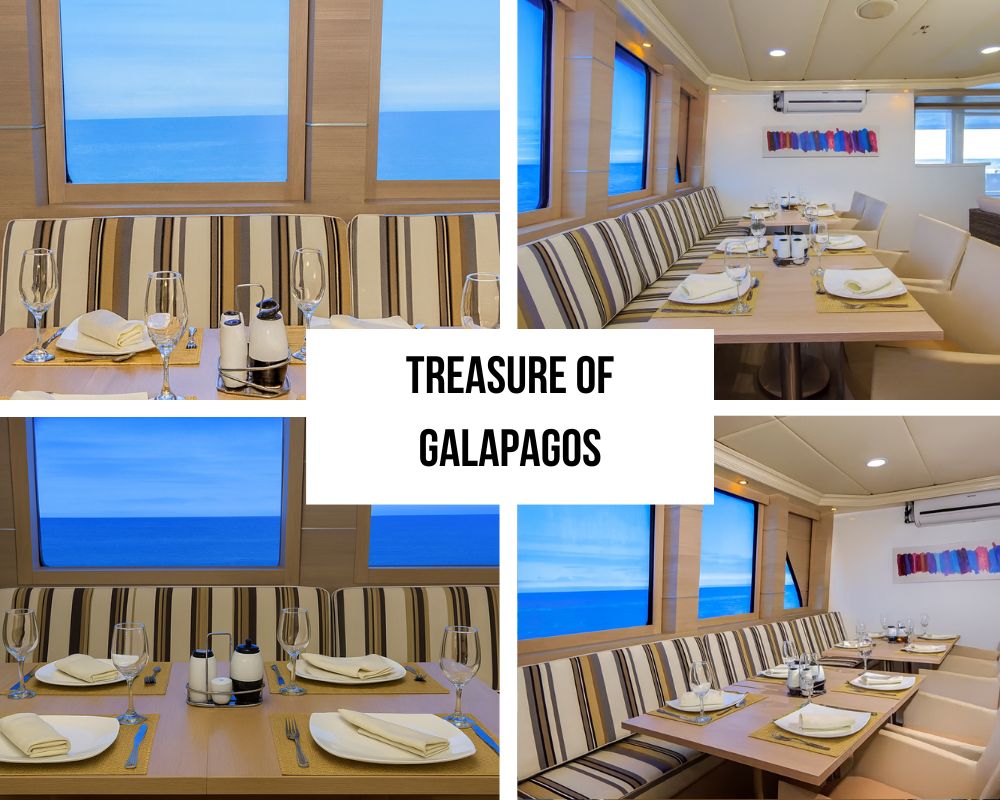 Comprehensive Luxury Amenities and Premium Equipment on the Treasure of Galapagos Cruise