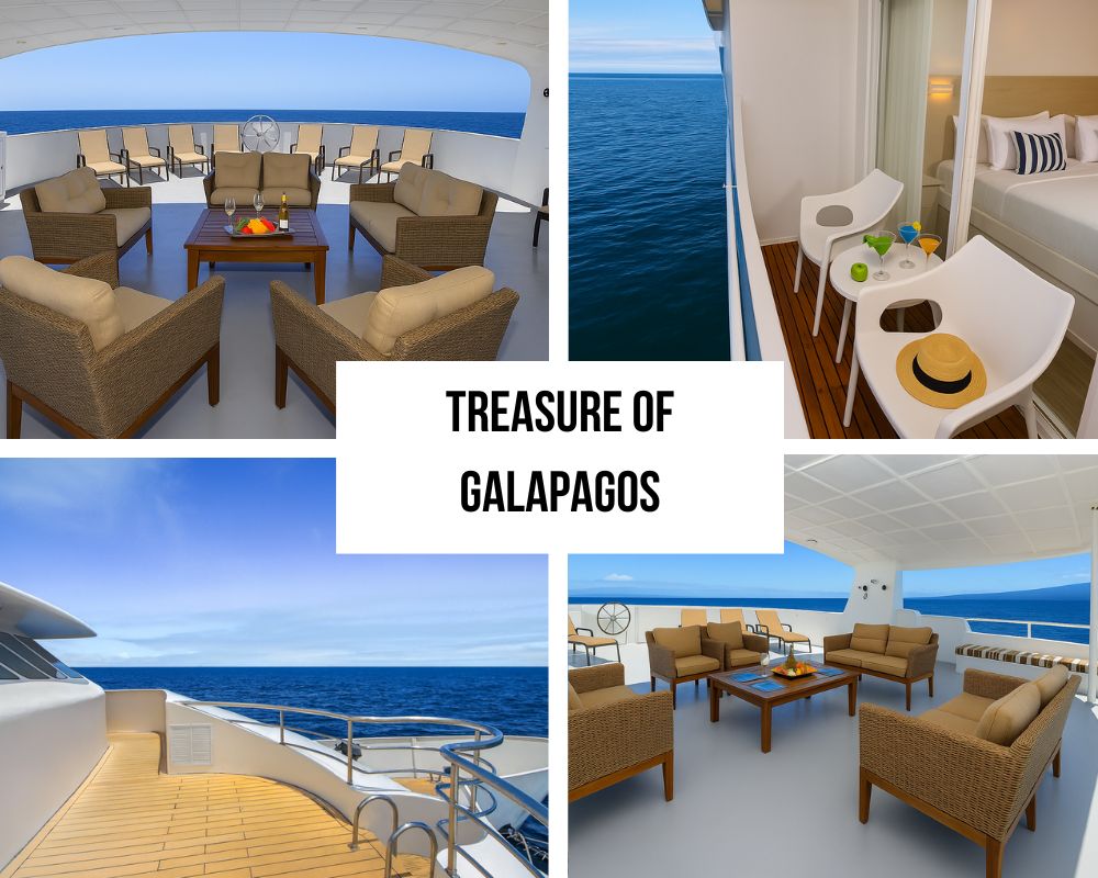 Exceptional Crew Service and Personalized Attention on the Treasure of Galapagos Cruise