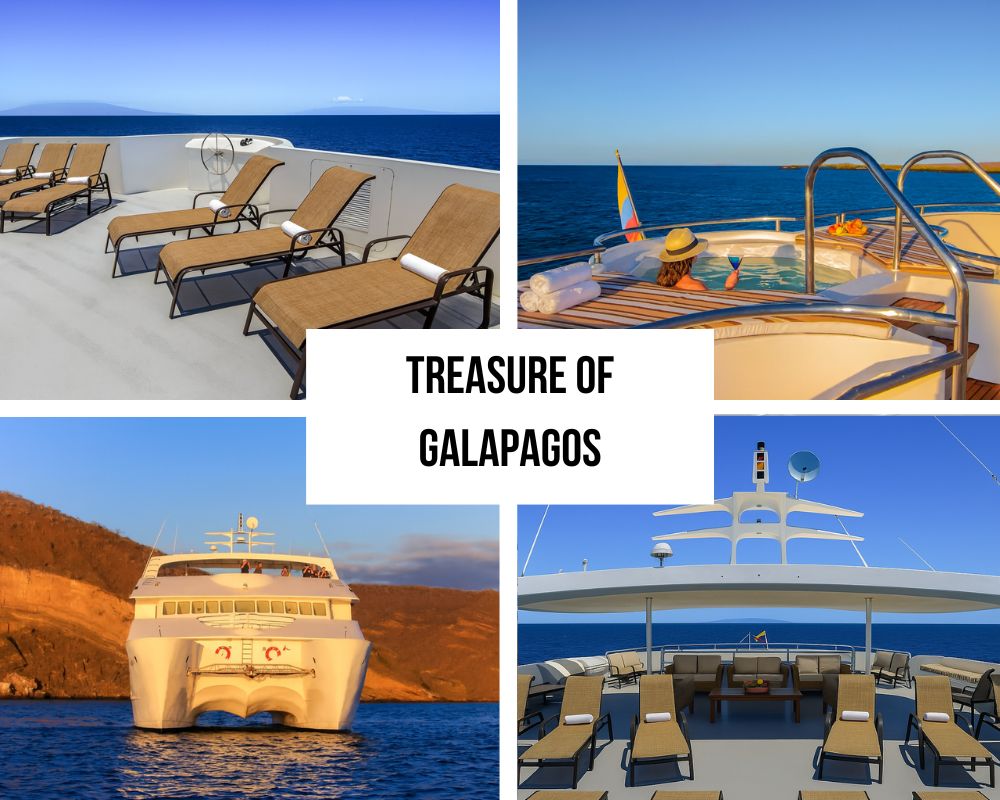 Treasure of Galapagos Cruise