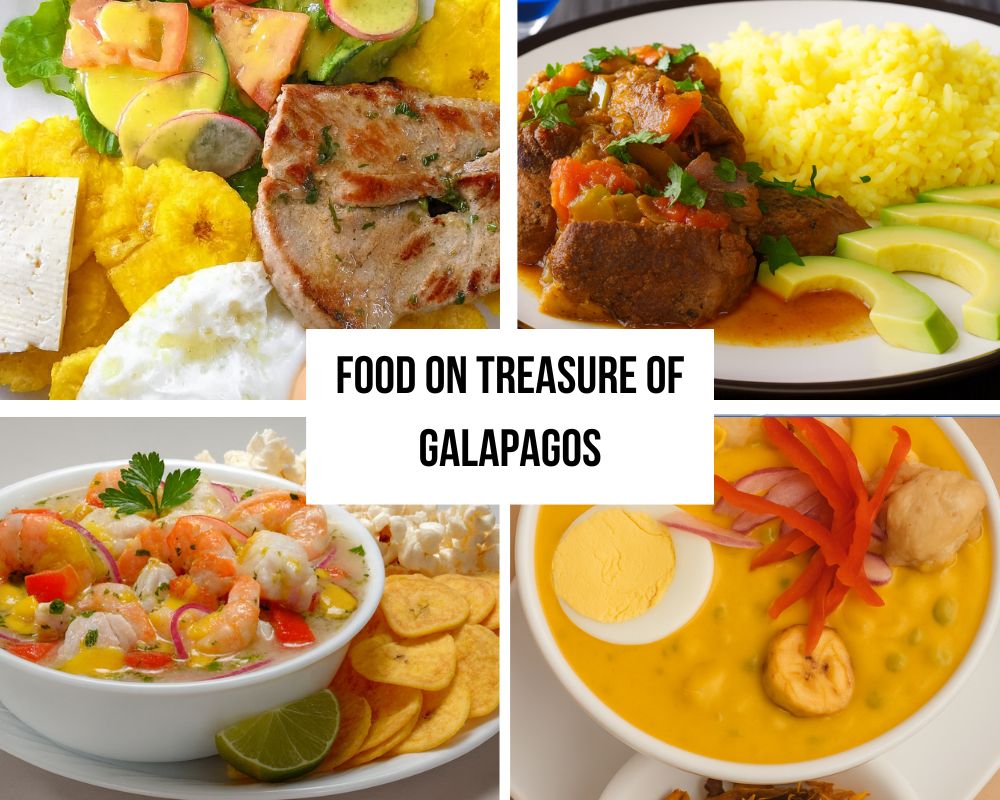 First-Class Dining and Premium Bar Service on the Treasure of Galapagos Cruise