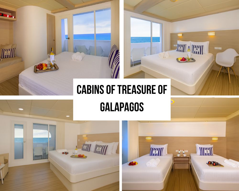 Outstanding Guest Experience and Luxury Recognition on the Treasure of Galapagos Cruise